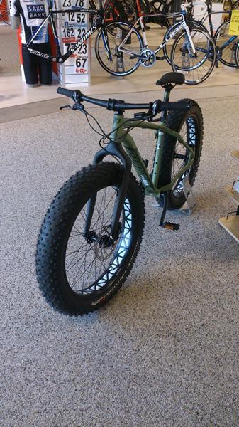 Fat Bike