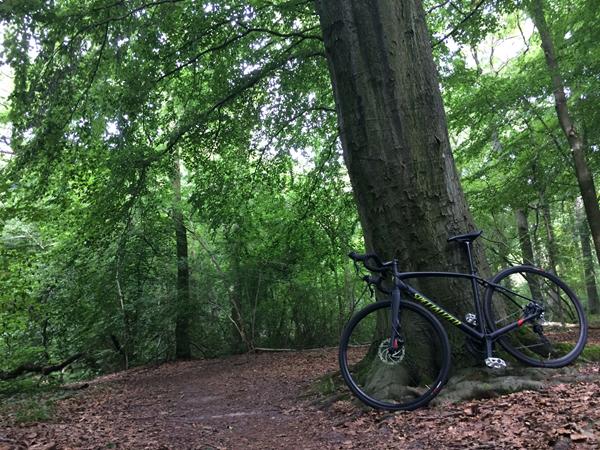 Gravel Bikes