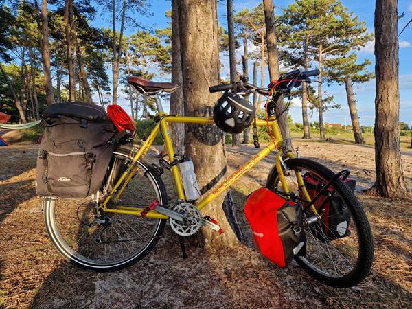 Gl norsk mountainbike med sjæl - værd at reparere?