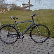 Nishiki 307