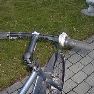 Nishiki 307