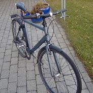 Nishiki 307