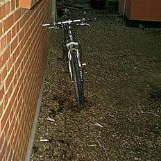 Bugatti greenfield (død)