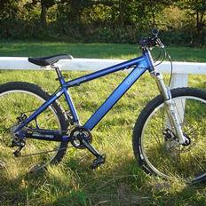 Trek Bruiser 2 2005