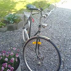 DBS Cykel