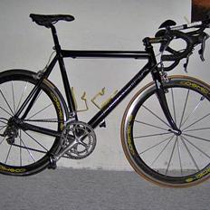 Principia Rex Pro