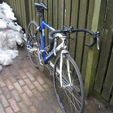 Batavus Sport