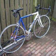 Batavus Sport