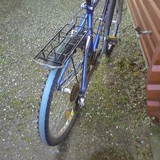 Batavus ?