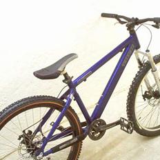 Trek Bruiser 2 2005
