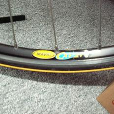 Batavus Equipe
