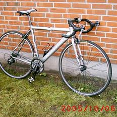 Nishiki Road Master