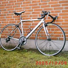 Nishiki Road Master