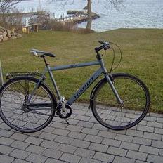 Nishiki 307