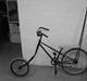 Iron Horse The very low rider!