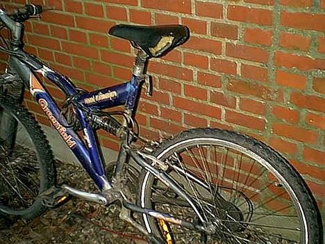 Bugatti greenfield (død) billede 4