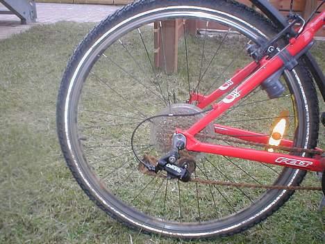 Felt Q650 billede 5