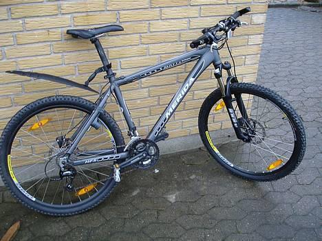 merida speeder 100 cena