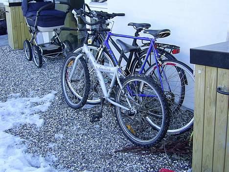 Rocky casino - det er min den sølv billede 1