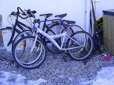 Rocky casino - det er min den sølv billede 2