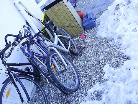 Rocky casino - det er min den sølv billede 3