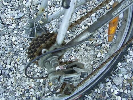 Rocky casino billede 5