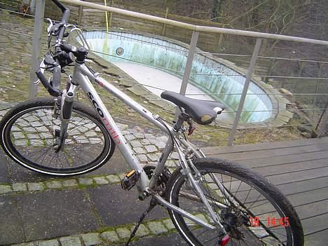 No-Name sco mtb - er hun ikke køn prøv lige at tjække den røv var.. ;) billede 2