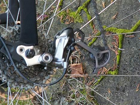 No-Name radon dirt jump billede 2