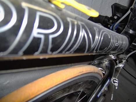 Principia Rex Pro - principia fed ikk´´  eller ?? billede 5