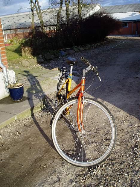 Kildemoes Butterfly - Jamen den er da fin med det rigtige lys... billede 4
