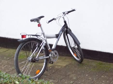 Everton V-bike billede 2