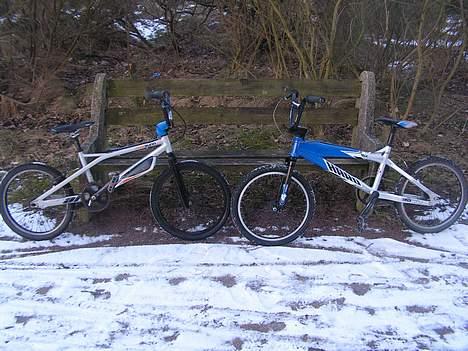 Shimano Sunn 520 pro billede 5