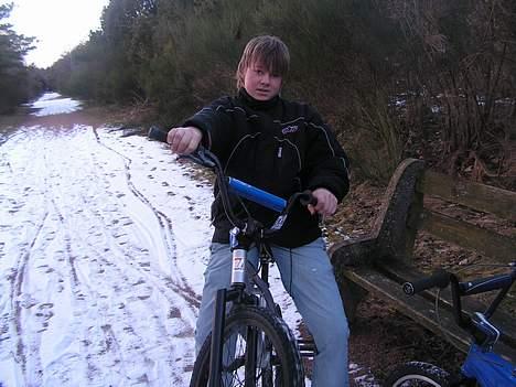 Shimano Sunn 520 pro billede 6