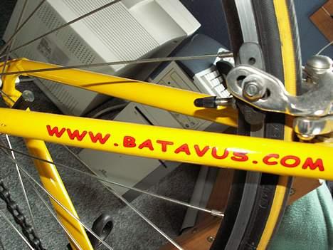 Batavus Equipe billede 10