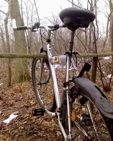 Greenfield Front Suspension billede 12