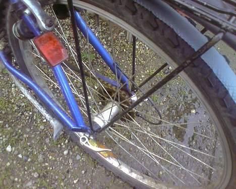 Batavus ? billede 3