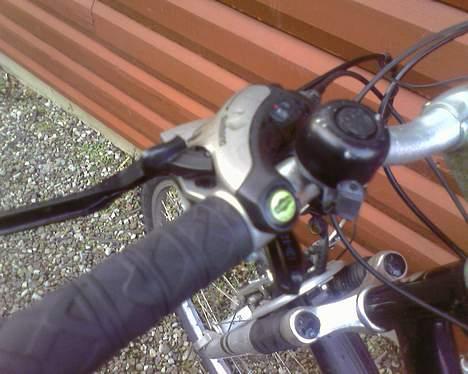 Batavus ? billede 5
