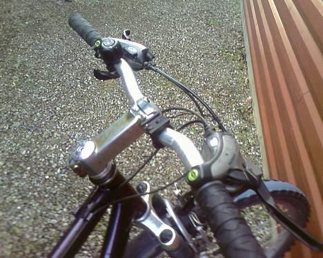 Batavus ? billede 6