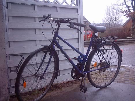 No-Name Apex  billede 3
