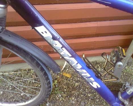 Batavus ? billede 10