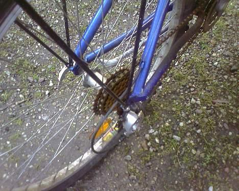 Batavus ? billede 11