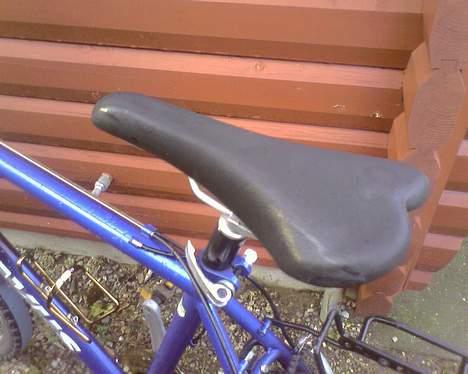 Batavus ? billede 12