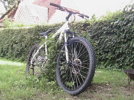 Specialized sport / hardrock special  billede 1