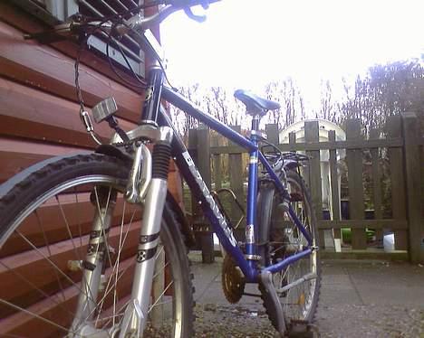 Batavus ? billede 13