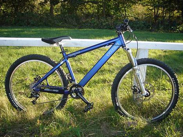 trek bruiser 2