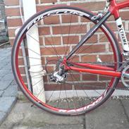 X-treme danish design