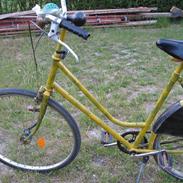 Batavus Ascot