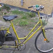Batavus Ascot