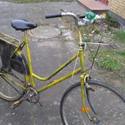 Batavus Ascot