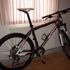 Scott Scale 50